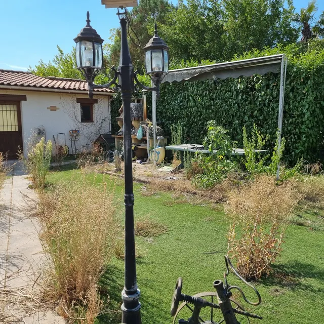 Jardin envahi par de hautes herbes devant une maison