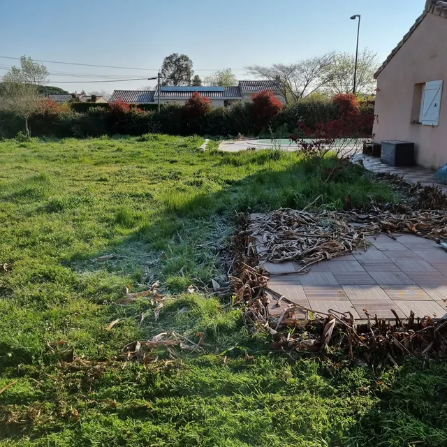 Terrasse entourée de végétation sèche et de feuilles