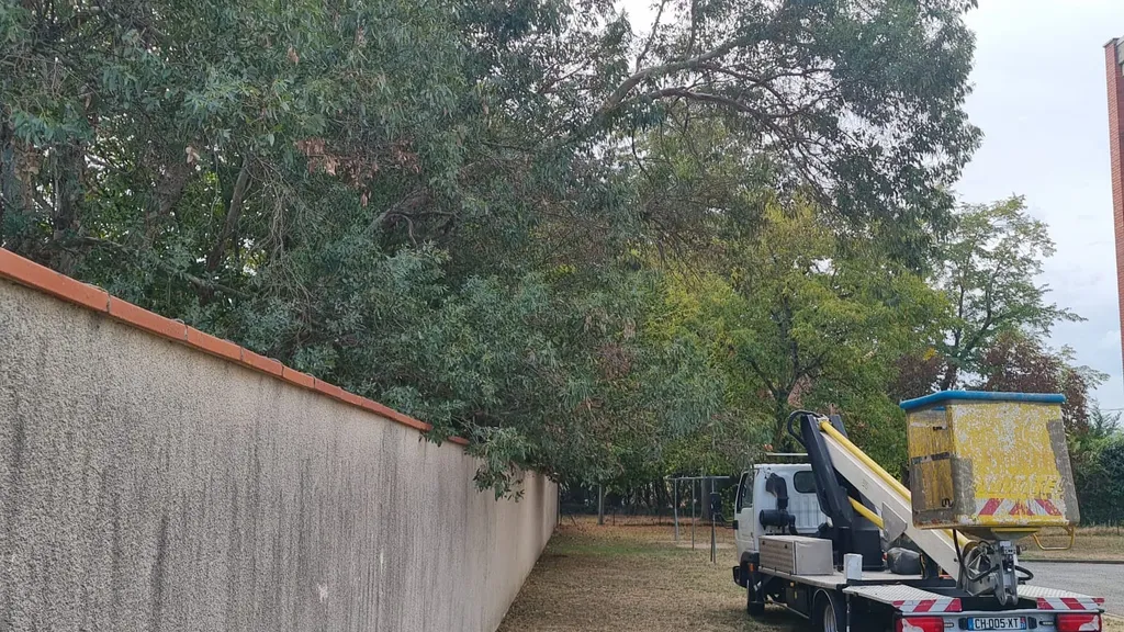 Camion nacelle le long d'un mur, sous des arbres dont les branches dépassent