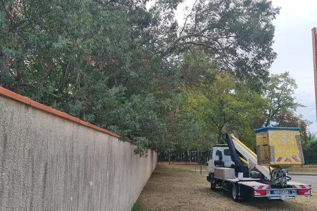 Camion nacelle le long d'un mur, sous des arbres dont les branches dépassent