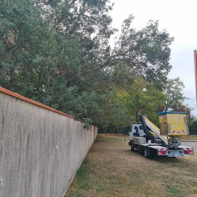 Camion nacelle sous des branches qui dépassent d'un mur