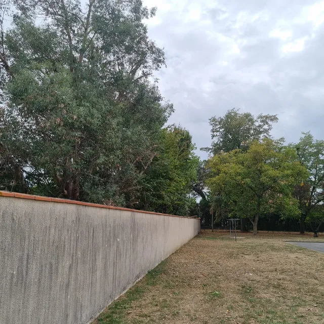 Le mur dégagé, sans branches qui dépassent
