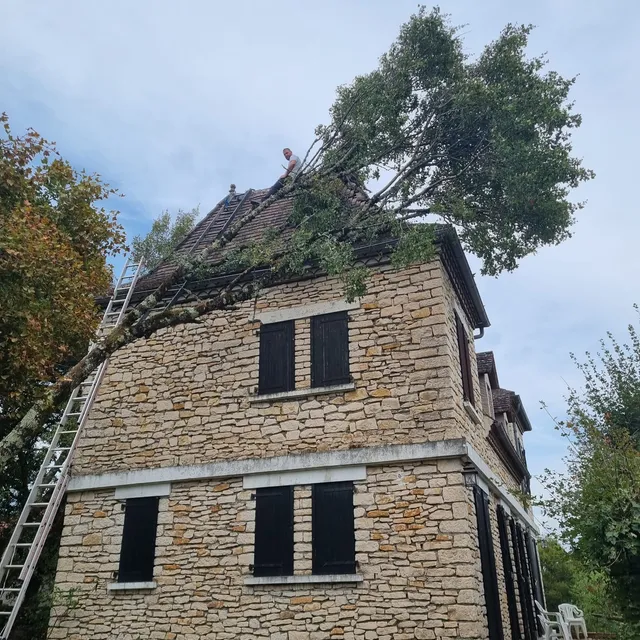 Arbre tombé contre la toiture d'une maison en pierre