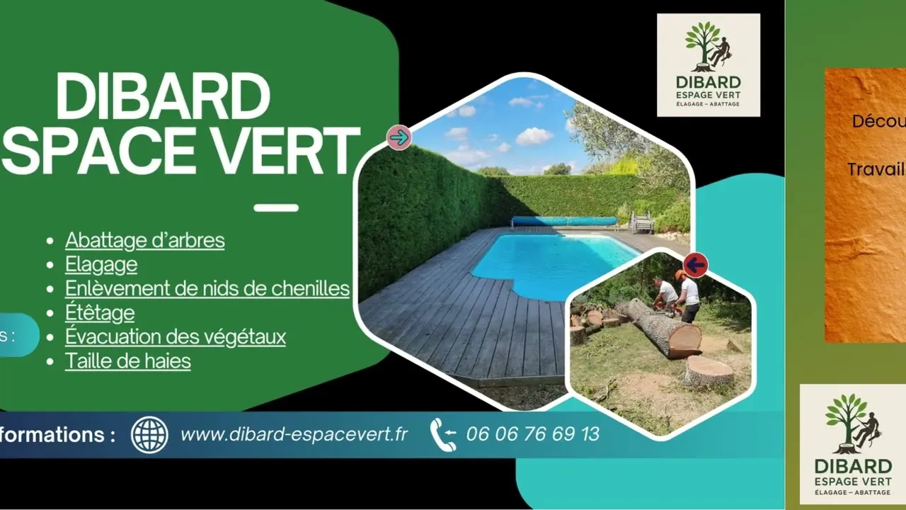 Aperçu de la vidéo d'un chantier Dibard Espacevert